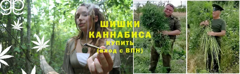 Конопля THC 21%  как найти закладки  darknet клад  Бирюч 